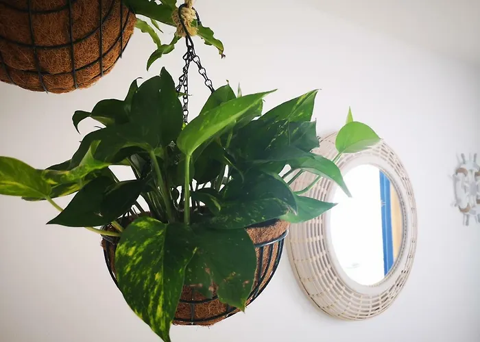 Blu Terrace Apartment